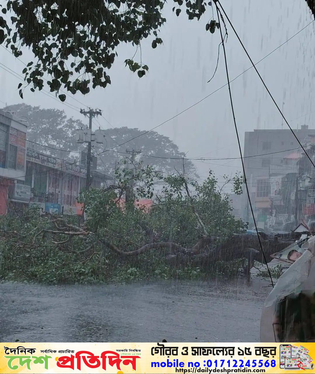 দর্শনার শতবর্ষী ঐতিহ্যের অবসান: ঝড়ে উপড়ে গেল ঐতিহাসিক বটগাছ, পাশে দাঁড়ালেন চুয়াডাঙ্গা জেলা পরিষদের প্রশাসক শরীফুজ্জামান শরীফ