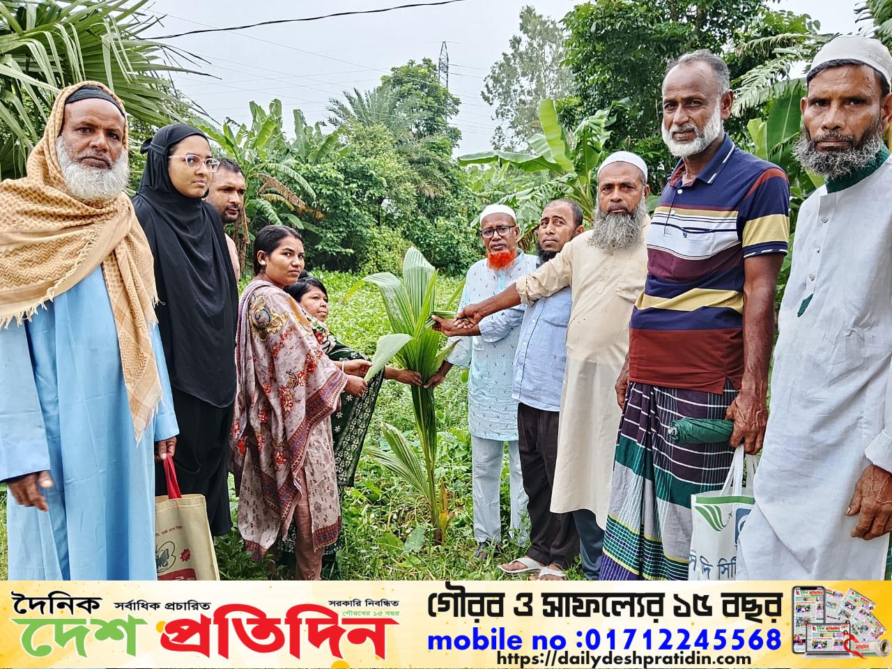 নড়াগাতীর পহরডাঙ্গায় বৃক্ষরোপণ কর্মসূচি পালন: ৭৪ নং বল্লাহাটী সরকারি প্রাথমিক বিদ্যালয়ে গাছের চারা রোপণ
