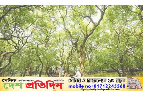 সংকট-সম্ভাবনায় রাতারগুল: ECA ঘোষণার দাবি, একইসাথে বৃক্ষরোপণ ও নতুন ফি