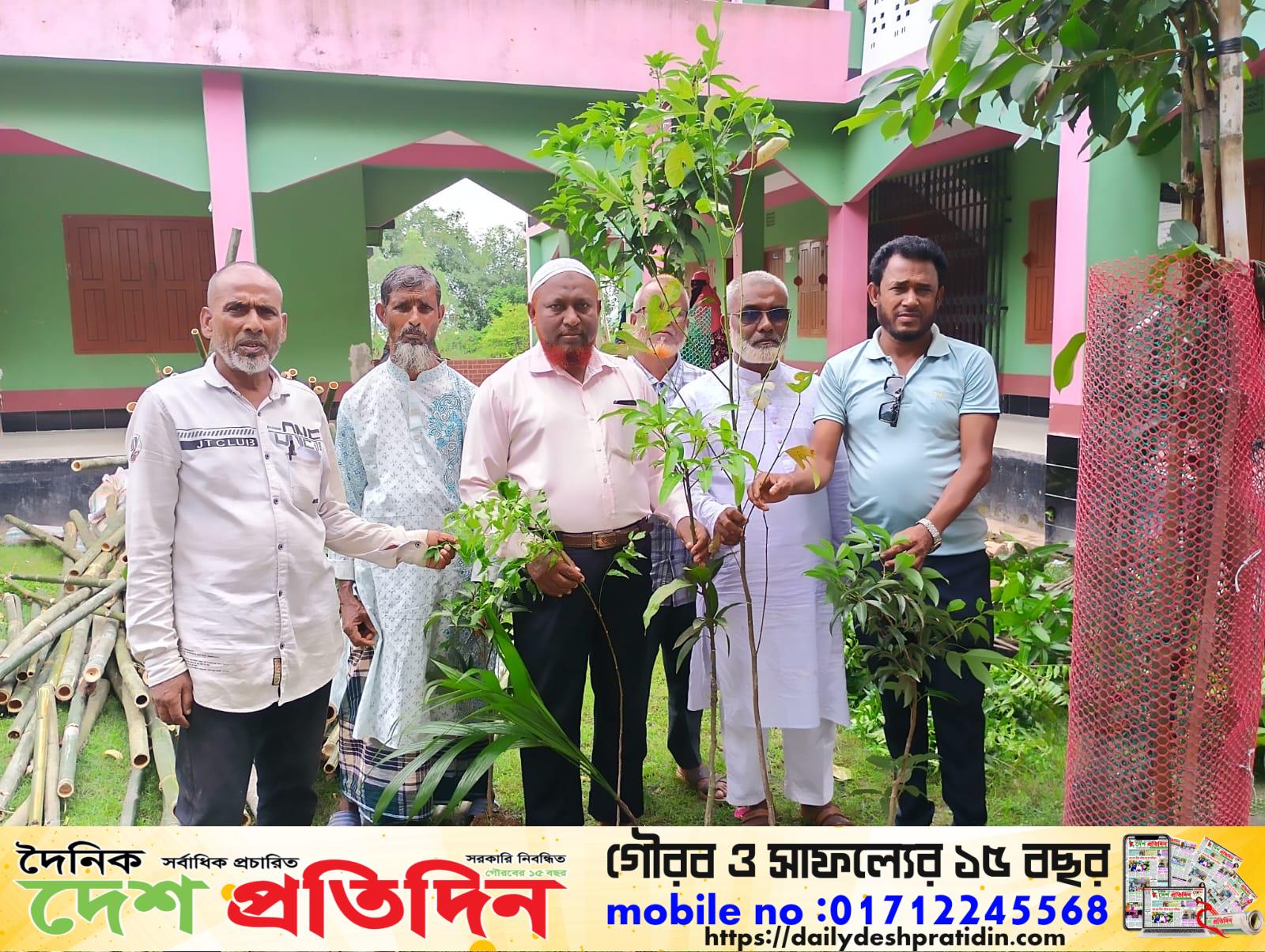 দিওড় ইউনিয়নে কৃষক দলের উদ্যোগে সরকারি চারাগাছ বিতরণ কর্মসূচি পালন