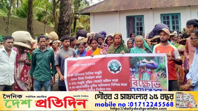 মজুরি বৃদ্ধির দাবিতে কুলাউড়ায় চা শ্রমিকদের এক ঘণ্টা কর্মবিরতি