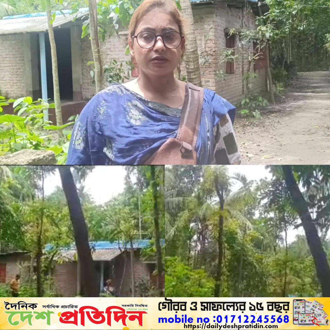 পল্লী বিদ্যুতের বিরুদ্ধে গাছ কাটার অভিযোগ ও ক্ষতিপূরণ দাবি ভুক্তভোগীর