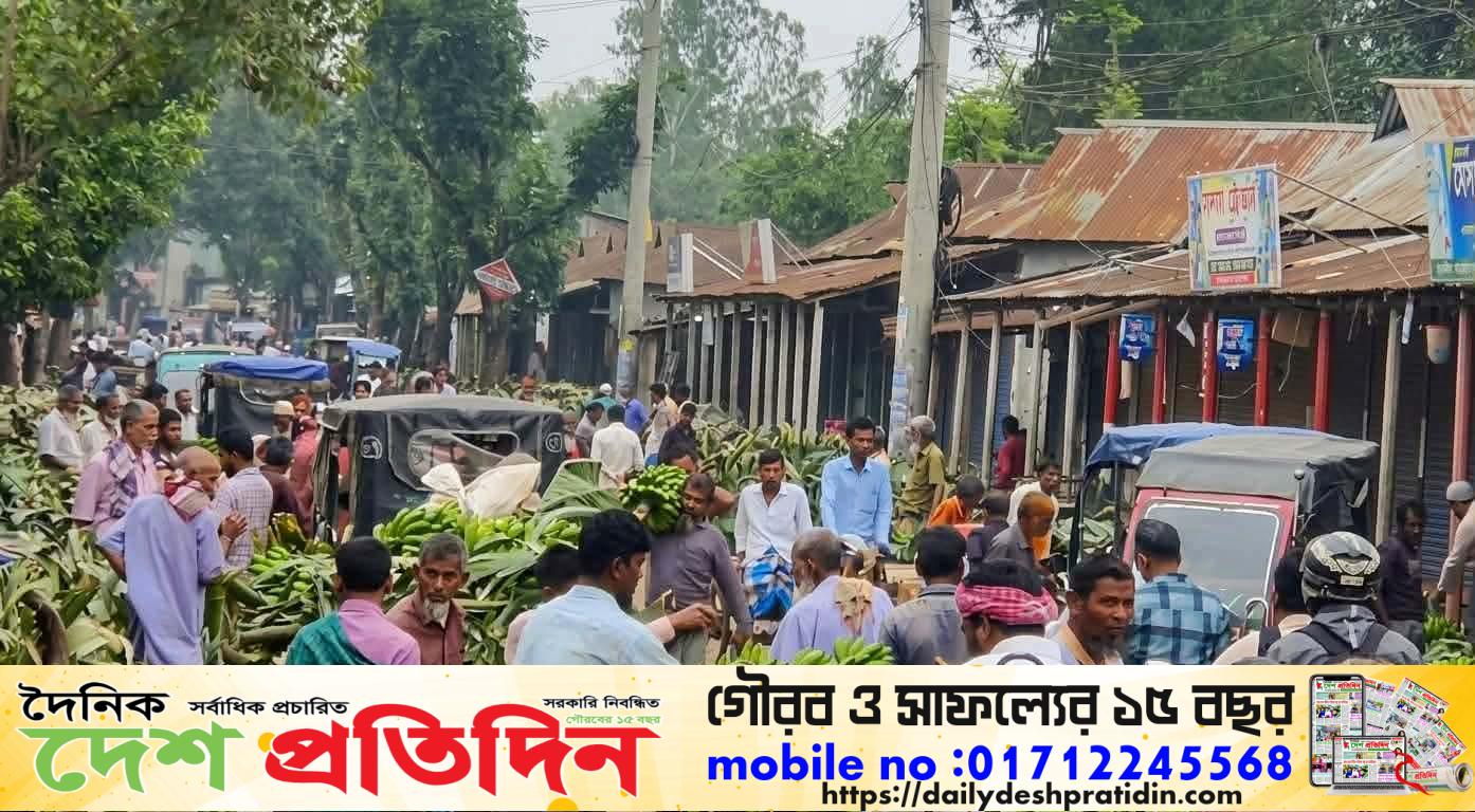 ঘাটাইলে সড়ক দখল করে বসছে হাট-বাজার  যানজটে স্থবির জনজীবন, 
