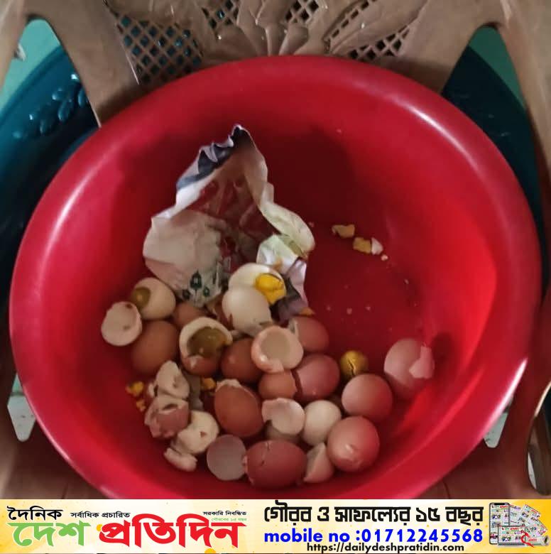গলাচিপায় মুরাদনগর সরকারি প্রাথমিক বিদ্যালয়ের স্কুল ফিডিং এ মিড ডে মিল এ পঁচা ডিম দেয়ায় স্বাস্থ্য ঝুঁকিতে শিক্ষার্থীরা