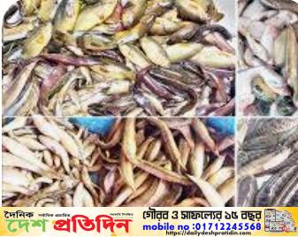 কাজিপুরে দেশীয় মাছ আজ বিলুপ্তের পথে