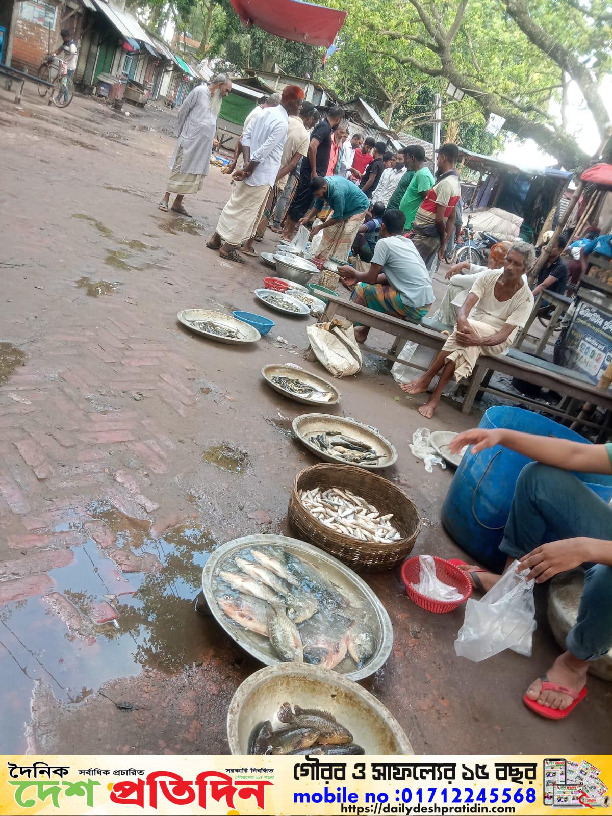 নওগাঁ দুবলহাটীতে সকালে পাওয়া যায় বিভিন্ন প্রকার দেশি মাছ