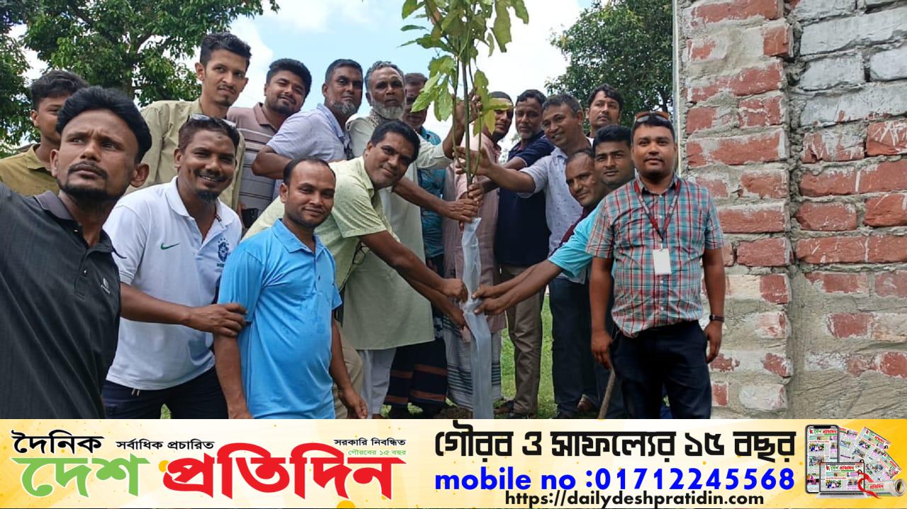 ঠাকুরগাঁও ভূল্লী উপজেলায় তারুণ্যের শক্তি সেচ্ছাসেবী সংগঠনের বৃক্ষরোপণ কর্মসূচি পালিত