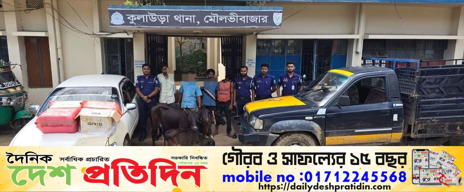 কুলাউড়ায় পুলিশের পৃথক অভিযান: চোরাই গরু উদ্ধার, ইয়াবাসহ গ্রেপ্তার ১, সিগারেটসহ প্রাইভেটকার জব্দ