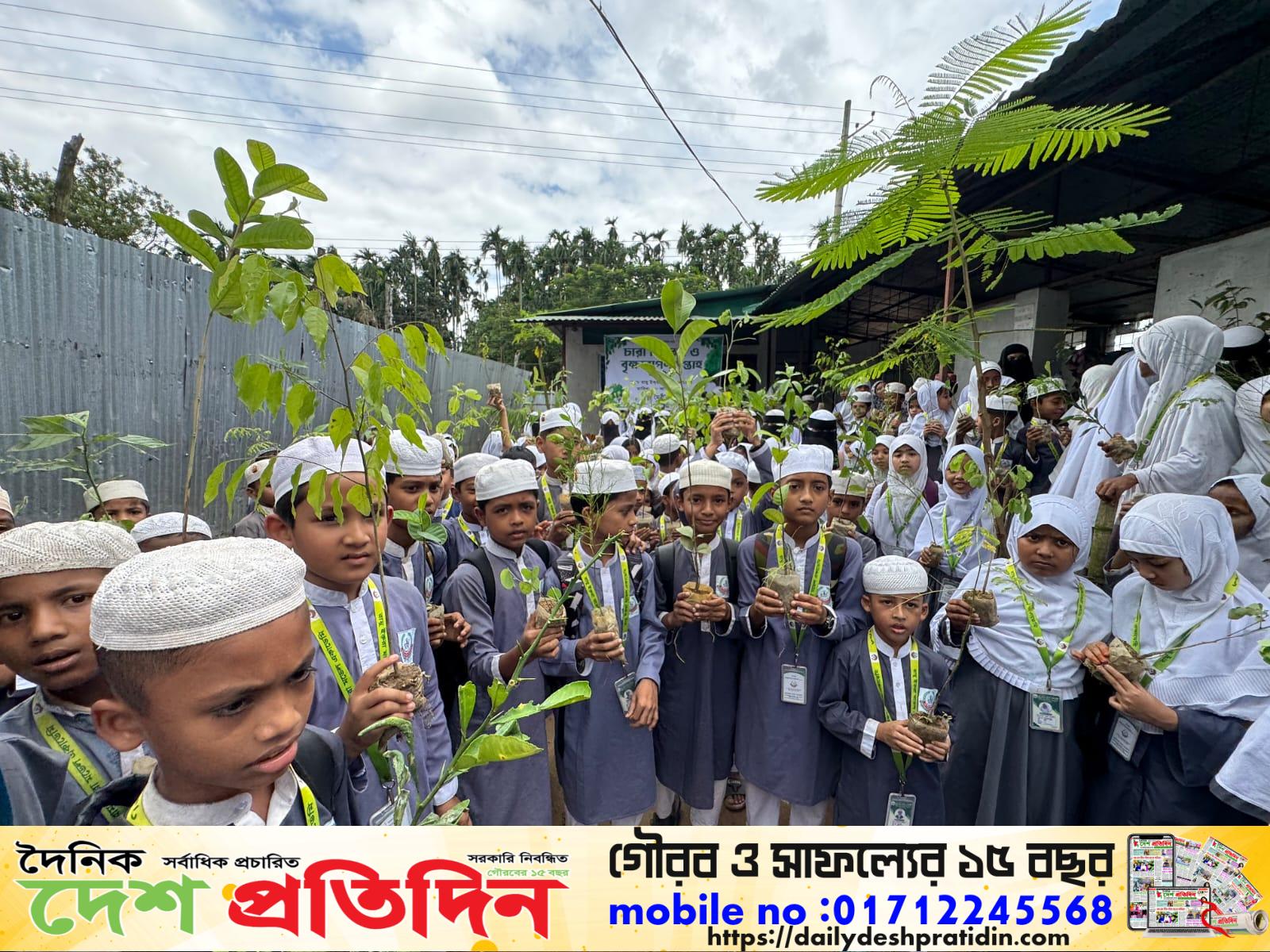 রামুতে সবুজায়নের অভিযাত্রা: ১৫ শিক্ষাপ্রতিষ্ঠানে মৈত্রী-০২-এর ১০ হাজার চারা বিতরণ