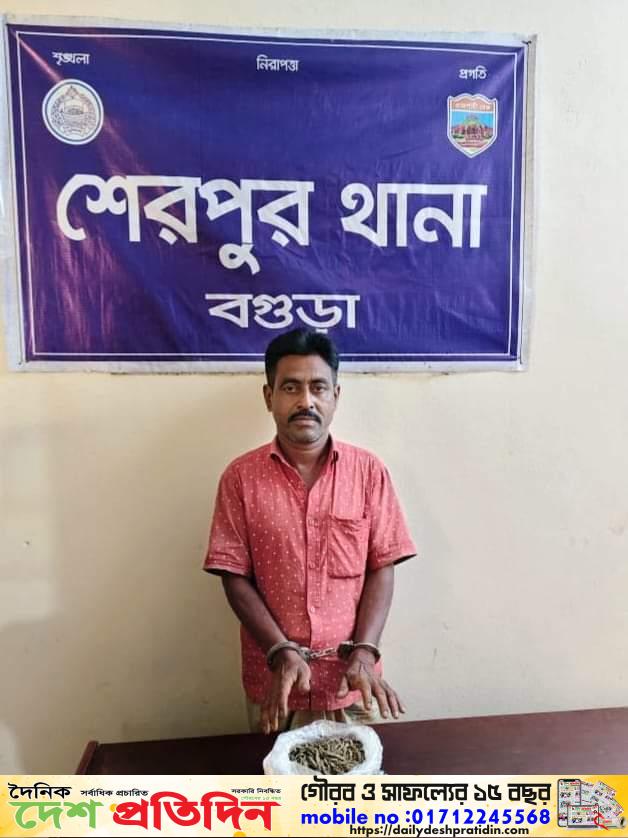 বগুড়ার শেরপুর থানার অভিযানে অর্ধডজন মাদক মামলার আসামি গ্রেফতার