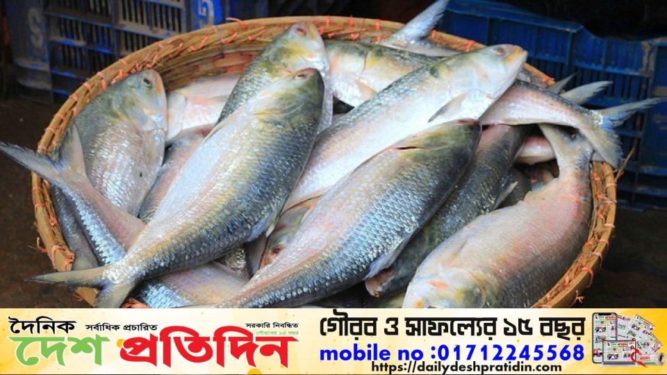 শিরোনামহীন