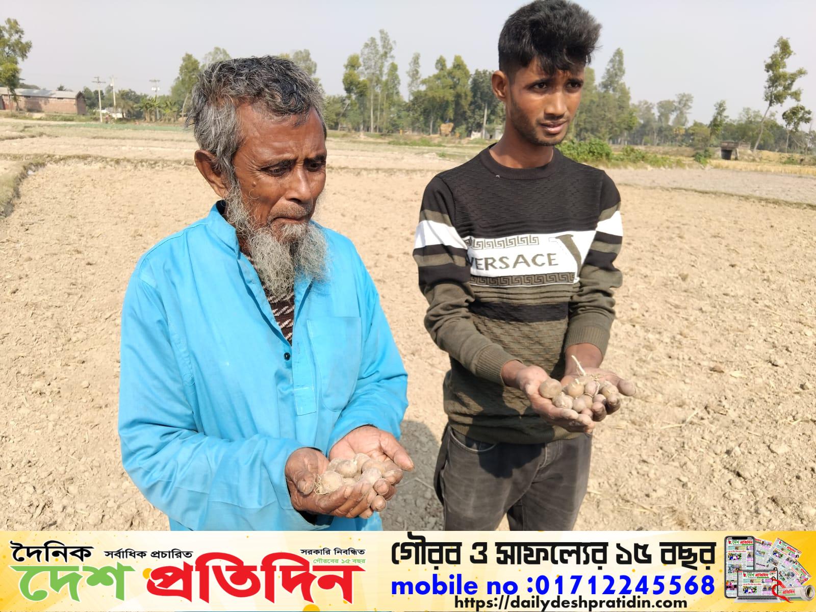 জয়পুরহাটের পাঁচবিবিতে পূর্ব শত্রুতার জেরে জমির ক্ষেত নষ্ট করার অভিযোগ