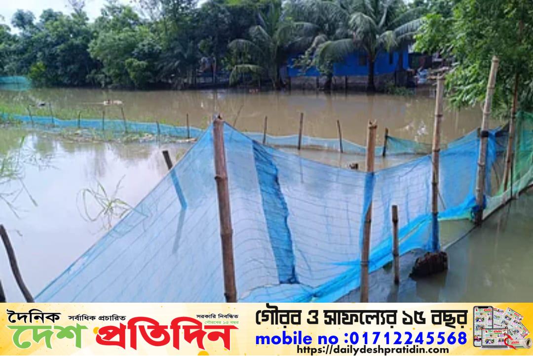 কয়রায় খালে নেট-পাটা দিয়ে বন্ধ করে মাছ চাষ করায় কৃষিতে ক্ষতি