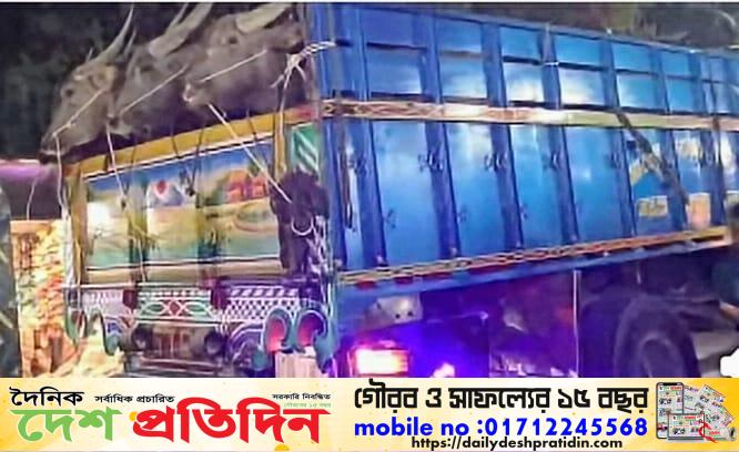 রাতের অন্ধকারে গাজী বোরহান উদ্দিন সড়ক দিয়ে চলছে অবৈধ প্রাণী পাচার