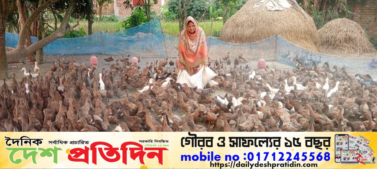 পাঁচবিবির রুমা হাঁস পালনে সফল