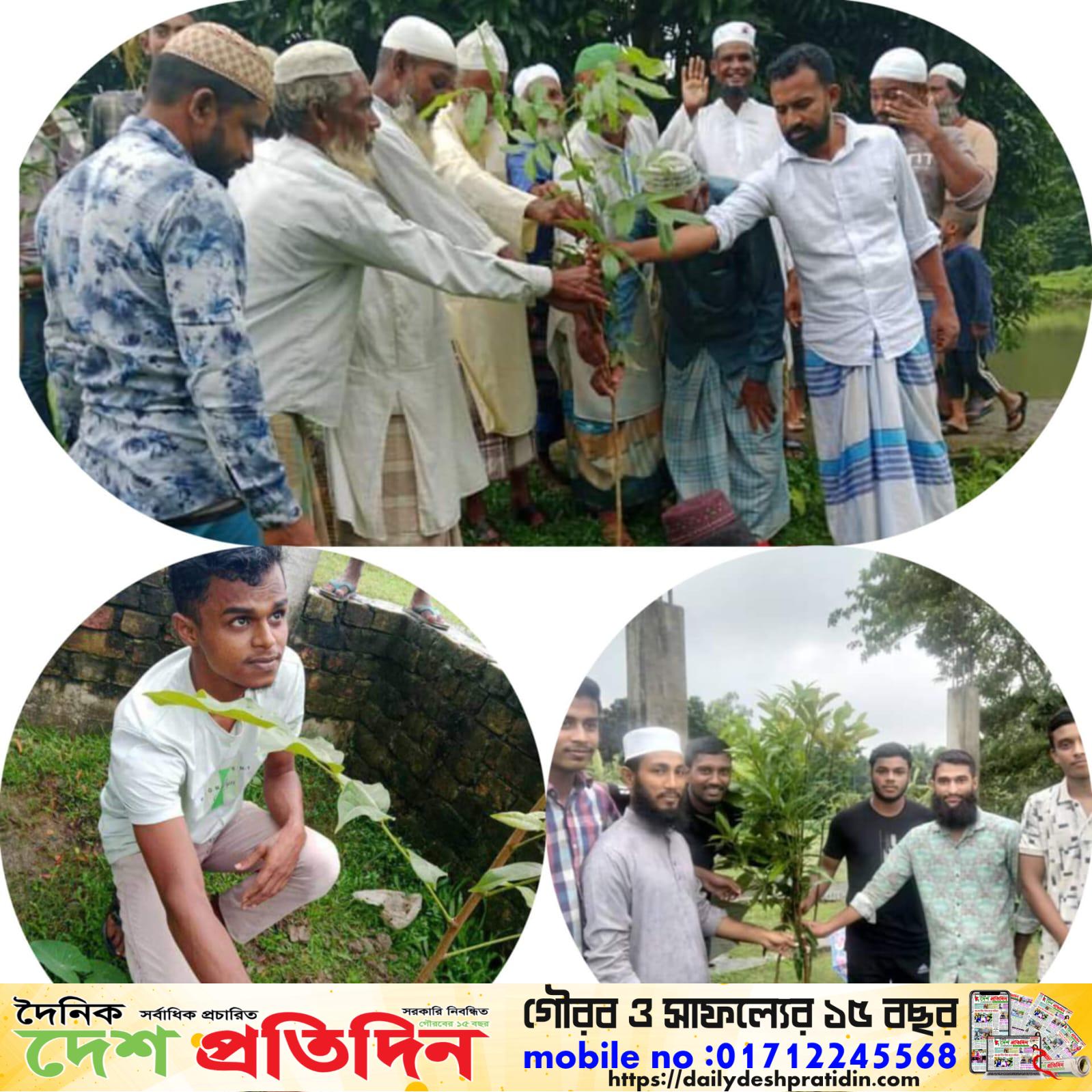 আটপাড়ার সোনাজুরে হিলফুল ফুজুল ফাউন্ডেশনের  বৃক্ষ রোপন কর্মসূচি পালন