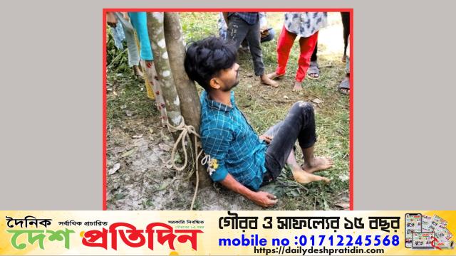 ঘাটাইলে তালতলা কারিগরি স্কুল এন্ড কলেজে চুরি
