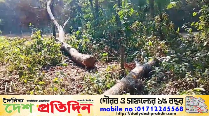 কাপাসিয়ায় শিক্ষকের জমি জোরপূর্বক দখলের পাঁয়তারা  থানায় অভিযোগ দায়ের, আতঙ্কে ভুক্তভোগী পরিবার