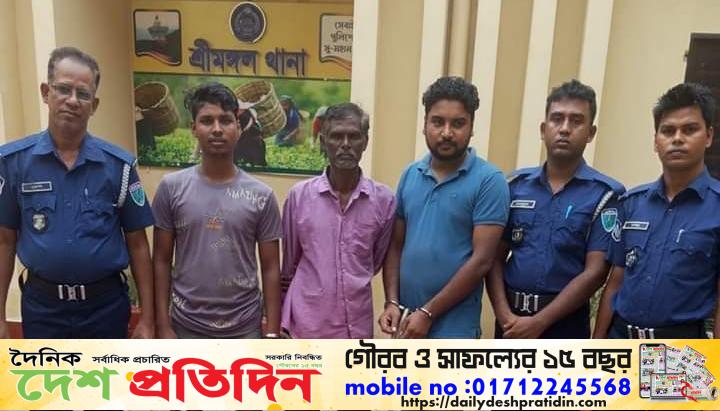 শ্রীমঙ্গল থানা পুলিশের বিশেষ অভিযানে গ্রেফতার-০৩, চোরাইকৃত ২৪০ কেজি চা পাতা উদ্ধার