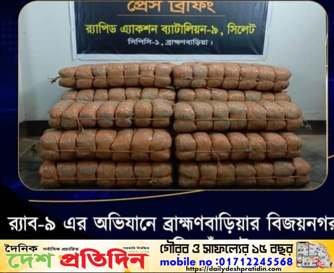 বিজয়নগরে র‍্যাব-৯ এর বিশাল অভিযান: ১৯৬ কেজি গাঁজাসহ দুই মাদক কারবারি আটক