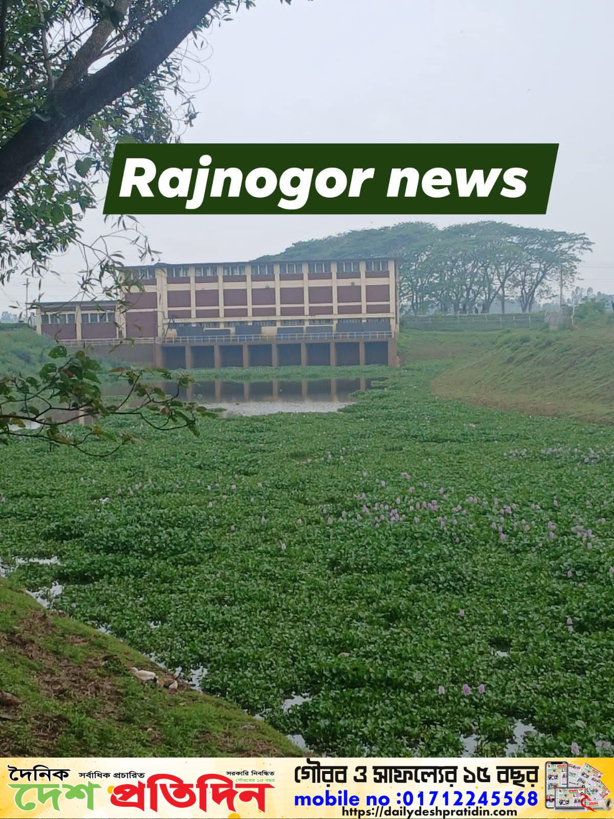 জলাবদ্ধতায় কাউয়াদীঘি হাওরের বোরোধান ঝুঁকিতে, সেচ দিচ্ছে না কাশিমপুর পাম্প হাউজে বিপাকে কৃষক