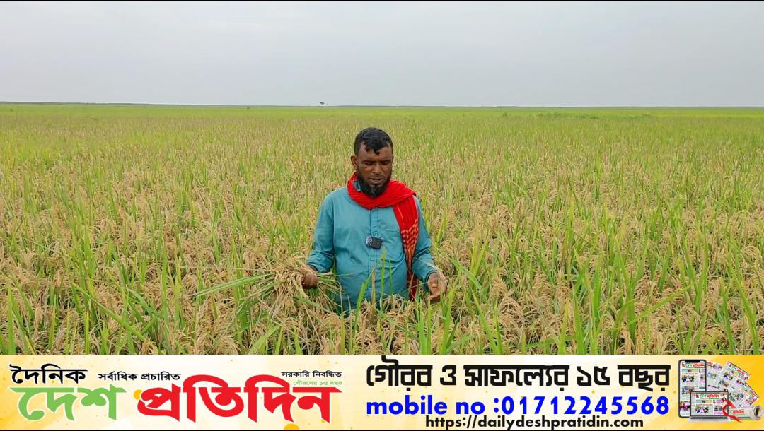 কৃষি জমি নষ্ট—ঋণের বোঝায় অসহায় রমজান আলী, সাহায্যের আবেদন