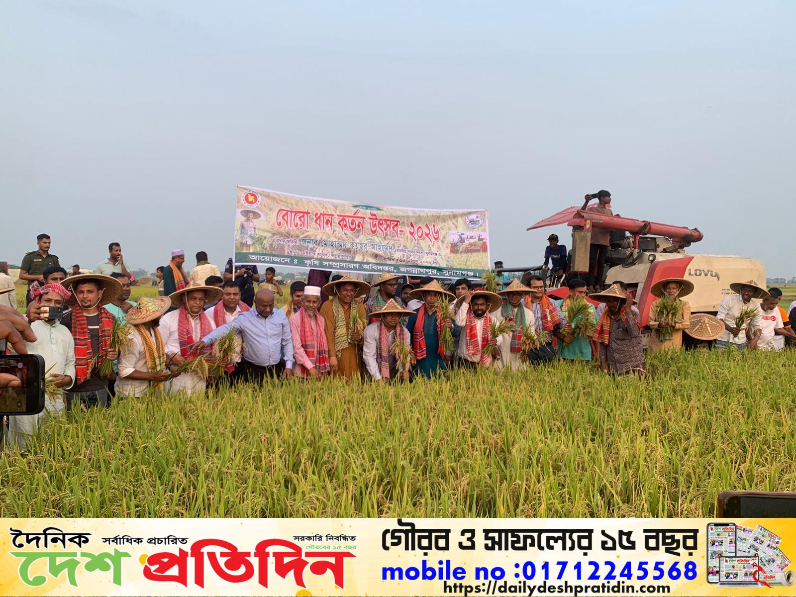 মইয়ার হাওরে ধান কাটলেন এমপি কয়ছর আহমেদ: ১০০০ কৃষকের মাঝে কৃষি প্রণোদনা বিতরণ