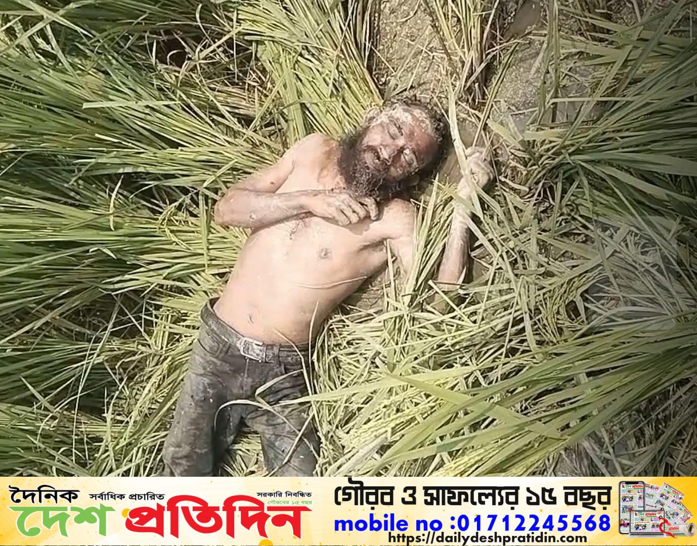 সিরাজগঞ্জ তাড়াশে ধান ক্ষেতে কৃষকের লাশ
