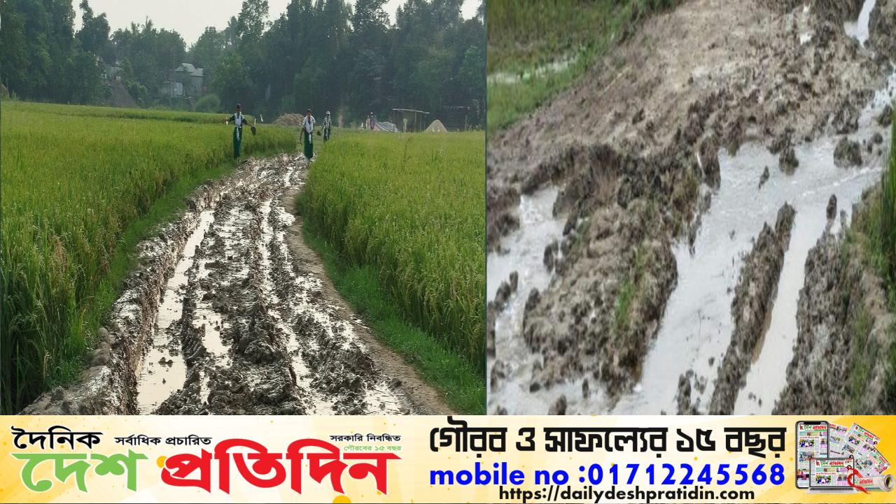 রাস্তার দাবিতে ঐক্যবদ্ধ গ্রামবাসী: ভোট বর্জনের হুঁশিয়ারি, কোরবানি ঈদে কর্মসূচি ঘোষণা