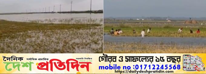 অনেক ক্ষতিগ্রস্ত কৃষকরা নাম দিতে পারেননি বিভিন্ন উপজেলা কৃষি অফিসের