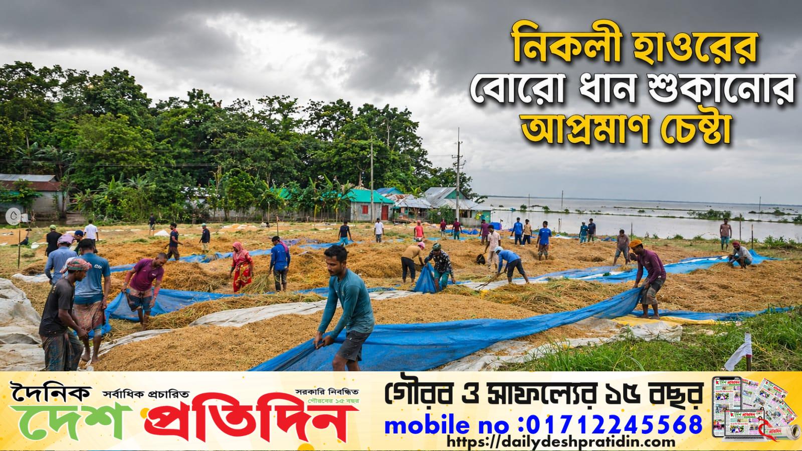 রাস্তা না থাকায় মাঠেই পড়ে আছে কৃষকের সোনালি স্বপ্ন