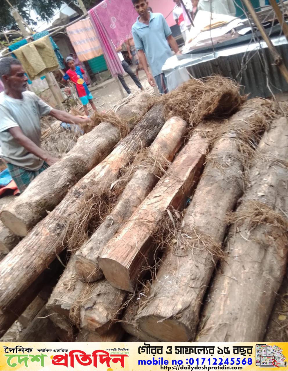 সীতাকুন্ড বন বিভাগের অভিযানে ৩৫ পিচ সেগুন কাঠ উদ্ধারঃ