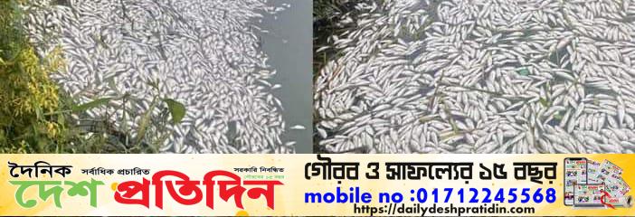 কুড়িগ্রামে পুকুরে বিষ প্রয়োগে ২শ মণ মাছ নিধন, ক্ষতি প্রায় ৫০ লাখ টাকা