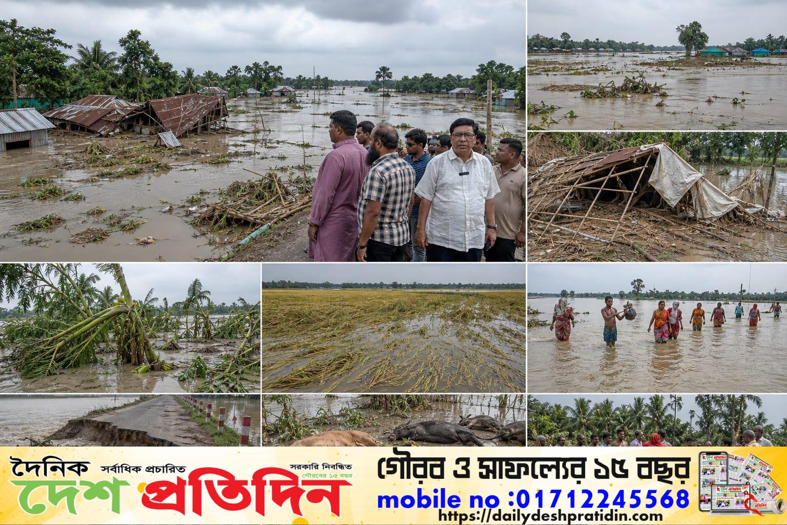 পানির নিচে তলিয়ে যাচ্ছে পাকা বোরো ধান দিশেহারা হাজারো কৃষক ক্ষতিগ্রস্তদের পাশে বি এন পির সাধারণ সম্পাদক মোঃ আতিকুল ইসলাম তালুকদার হেলিম