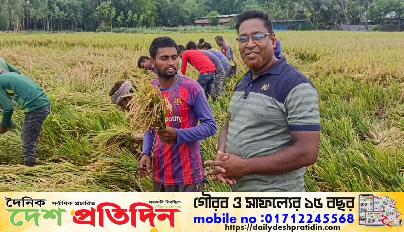 জয়পুরহাটে কৃষক আলুর ধাক্কা কাটানোর আগেই বোরো চাষে বড় লোকসান